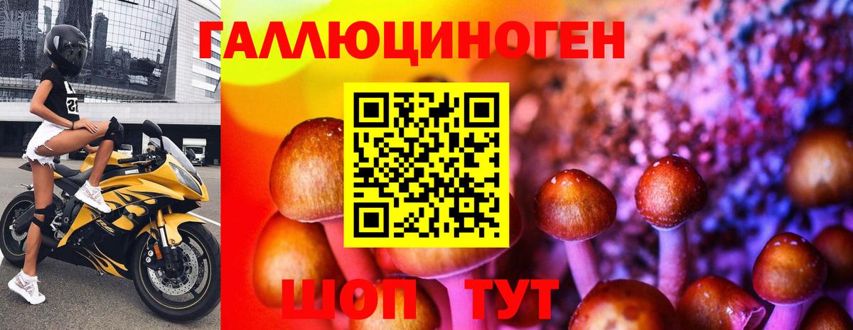 Оренбург  Псилоцибиновые грибы Psilocybe  Галлюциногенные грибы мухоморы  Вход с VPN 