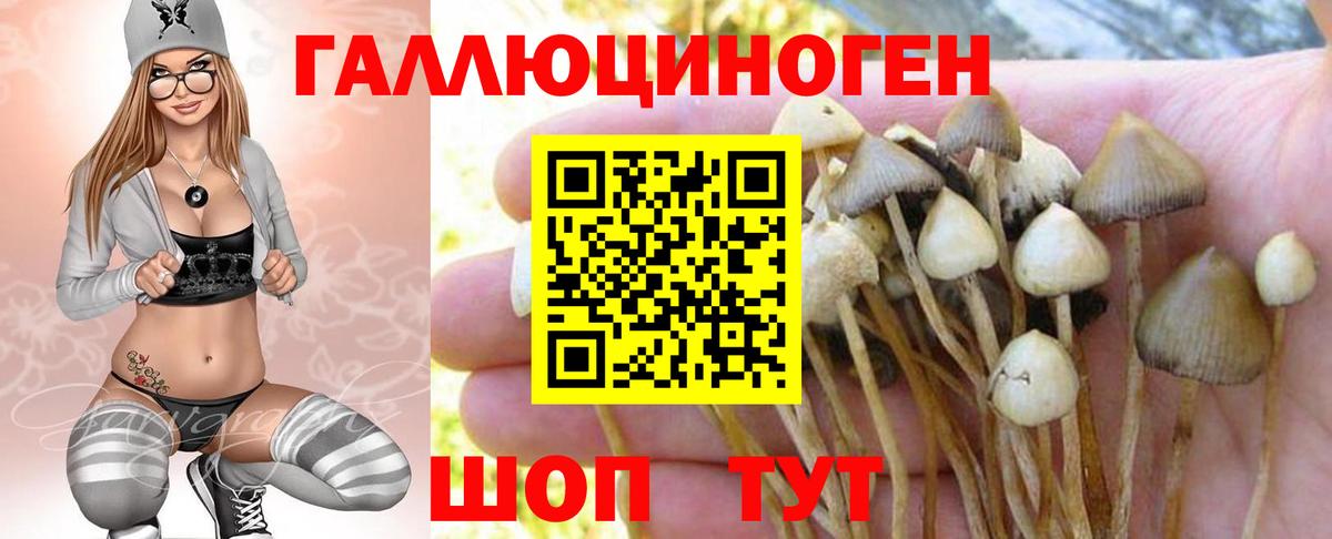 Галлюциногенные грибы GOLDEN TEACHER Оренбург